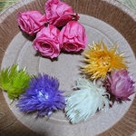 花材やベッド薔薇、デイジー計9輪