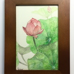蓮の花＊原画 