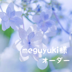 meguyuki様オーダー品