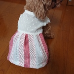涼やかワンピ