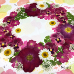 ♡new♡ 送料無料！¥1510 ♡たっぷり押し花セット♡