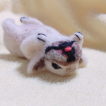 ヘソ天フレブル
