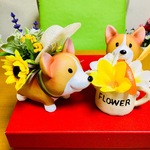 麦わら帽子👒付き夏🐶コーギーちゃんセット🌻🌞