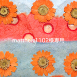 matthew1102様専用