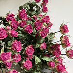 バラ・ドライフラワー