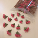 レア色‼︎‼︎ スターチス オレンジ❁