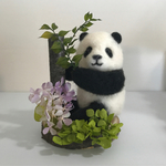 癒しのパンダ🐼