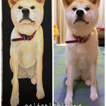 ペットの似顔絵等身大ボード大型犬専用