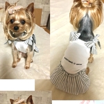 【yuany＊＊＊＊様☺】専用お買い物ページ※。.:*:・'°☆