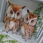 ご予約のかた専用のページ☆ベンガルワシミミズクさん達☆