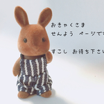 お客様専用ぺージとなります