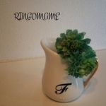 オーダーメイド♪ミルクピッチャー♪一輪挿し♪