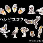 【シールフレーク】ハシビロコウづくし 12種24枚入