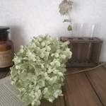 ＊h様専用ページ＊