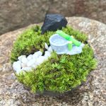苔庭園ミニ 鹿威しバージョン