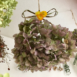 大きなくす玉紫陽花