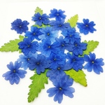 ブルーのバーベナの押し花素材