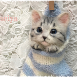  kao1202様リクエスト品くつしたにゃんこ☆彡アメリカンショートヘア