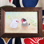 文鳥と白文鳥