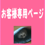 「rinchan620様」専用ページ
