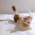 おすまし猫さん