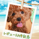 リピ様限定！数量限定！シークレットセール！