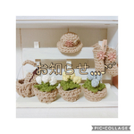 お知らせ...♪*ﾟ