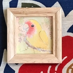 コザクラインコ①