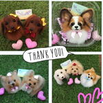 akichan様 オーダー犬羊毛フェルトストラップ