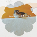 再販リクエスト☆taguchan4790様専用☆