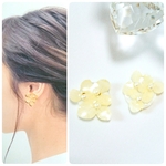 本物のお花♡満開のあじさいピアス・イヤリング♡淡いイエロー