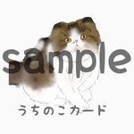 うちのこカードセット