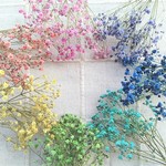 虹色かすみ草セット☆レインボー
