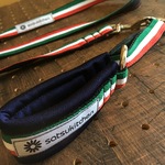 専用ページ☆イタリアンリード
