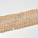 SALE 超極小 淡水パール 20粒 2mm ベビー バロック ライス 2色