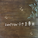 zunpyon-3さま専用