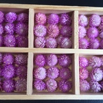 お花屋さんが作った本日の千日紅54冠set   No５