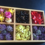 お花屋さんが作ったちょこっとset  