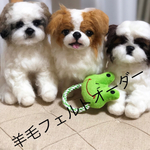 羊毛フェルトオーダー