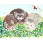 イラストポストカード5枚＋1枚セット