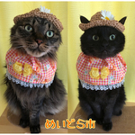 マーガレット×チェック柄ケープ、猫ちゃんの首輪