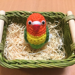 ボタンインコちゃん（ヤマブキボタン）
