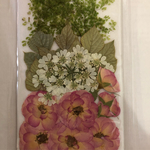  押し花  バラなど