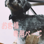 犬用首輪＆リードセット【オーダー品】