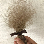 スモーキーなドライフラワー