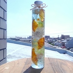 [ラッピング無料] ハーバリウム  L  ＊tropical＊