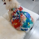 犬服   再販 送料無料 大きなお花のキャミソールドレス