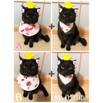 金魚柄ケープ＋バンダナセット猫ちゃんの首輪