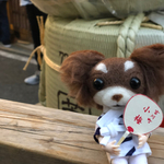 moet doll〜チワワ（チョコタン）