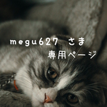 megu627 様専用ページ☆